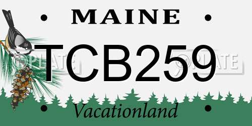 TCB259 Maine License Plate