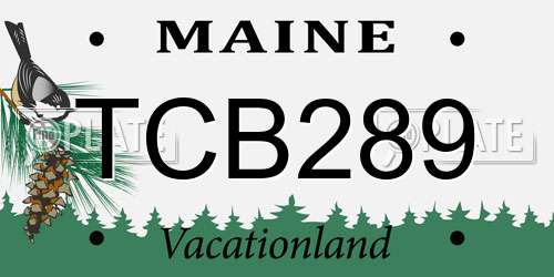 TCB289 Maine License Plate
