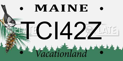 TCI42Z Maine License Plate