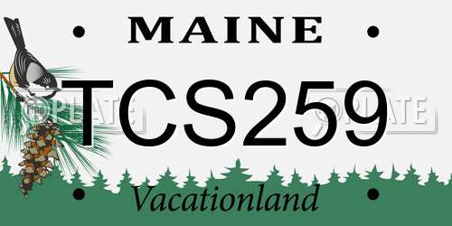 TCS259 Maine License Plate