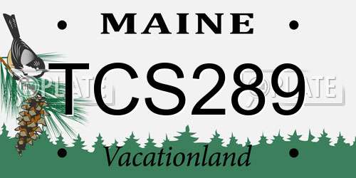 TCS289 Maine License Plate