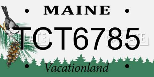TCT6785 Maine License Plate