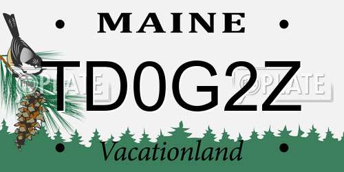 TD0G2Z Maine License Plate