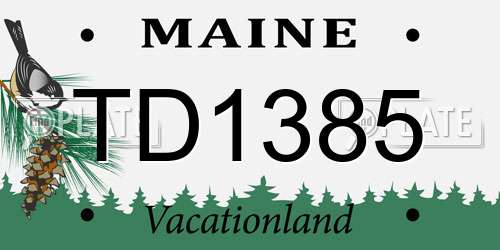 TD1385 Maine License Plate