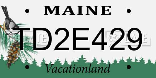 TD2E429 Maine License Plate