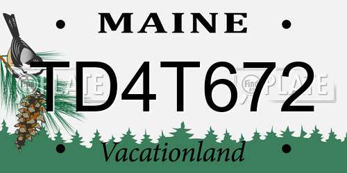 TD4T672 Maine License Plate