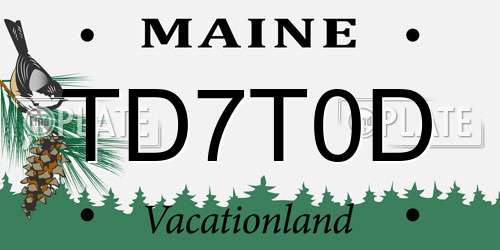 TD7T0D Maine License Plate