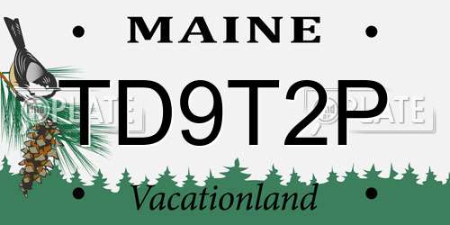 TD9T2P Maine License Plate
