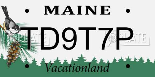 TD9T7P Maine License Plate