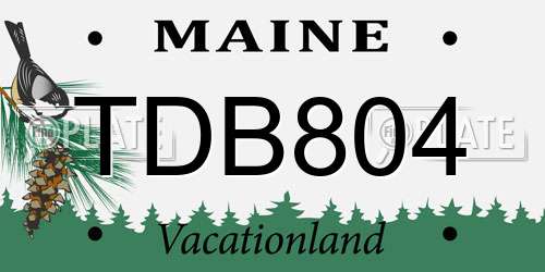 TDB804 Maine License Plate