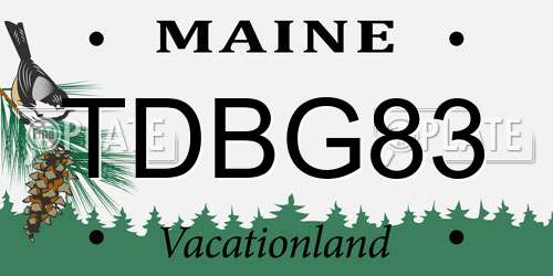 TDBG83 Maine License Plate
