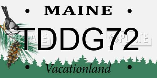 TDDG72 Maine License Plate