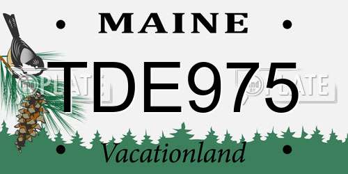 TDE975 Maine License Plate