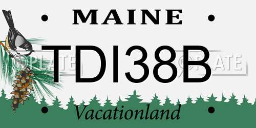 TDI38B Maine License Plate