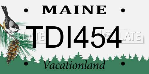 TDI454 Maine License Plate