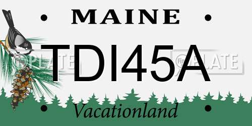 TDI45A Maine License Plate