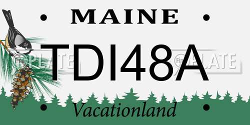 TDI48A Maine License Plate