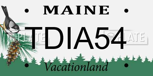 TDIA54 Maine License Plate