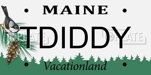 TDIDDY Maine License Plate