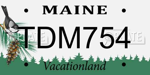 TDM754 Maine License Plate