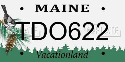 TDO622 Maine License Plate