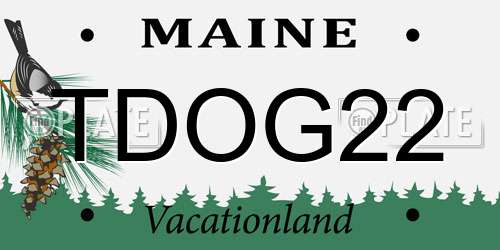 TDOG22 Maine License Plate