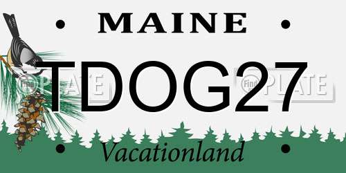 TDOG27 Maine License Plate