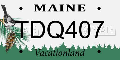 TDQ407 Maine License Plate