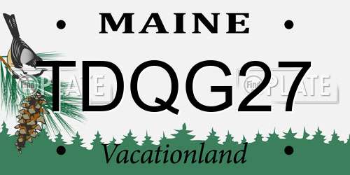 TDQG27 Maine License Plate