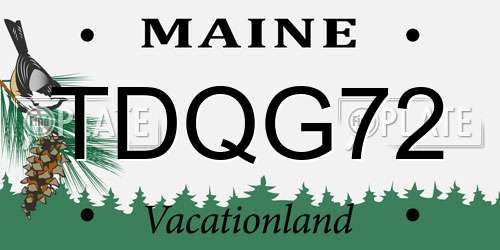 TDQG72 Maine License Plate