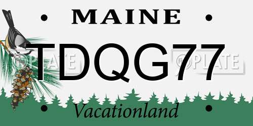 TDQG77 Maine License Plate