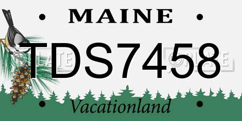 TDS7458 Maine License Plate