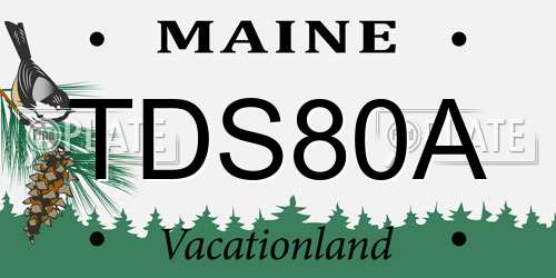 TDS80A Maine License Plate