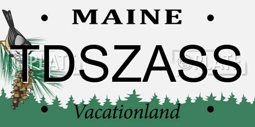 TDSZASS Maine License Plate