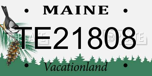 TE21808 Maine License Plate