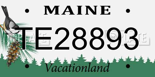 TE28893 Maine License Plate