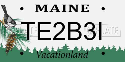 TE2B3I Maine License Plate