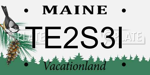 TE2S3I Maine License Plate