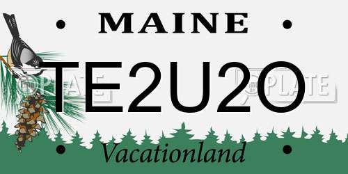 TE2U2O Maine License Plate