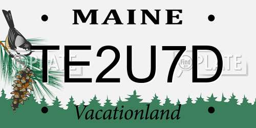 TE2U7D Maine License Plate