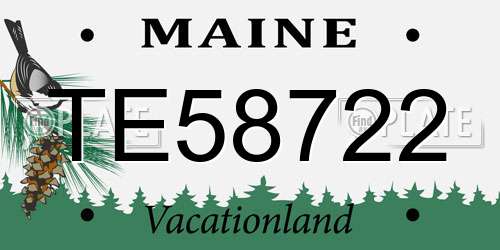 TE58722 Maine License Plate