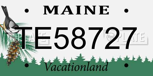 TE58727 Maine License Plate