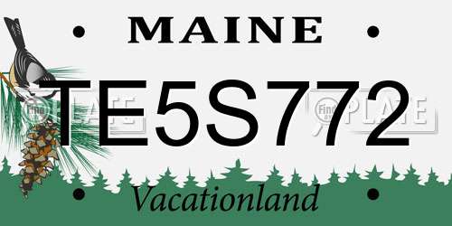 TE5S772 Maine License Plate