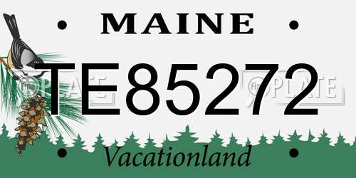 TE85272 Maine License Plate