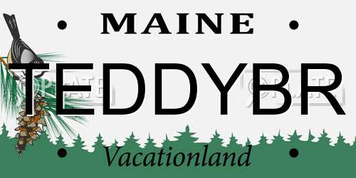 TEDDYBR Maine License Plate