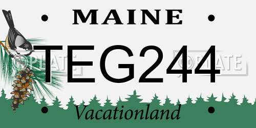 TEG244 Maine License Plate