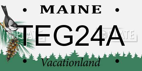 TEG24A Maine License Plate