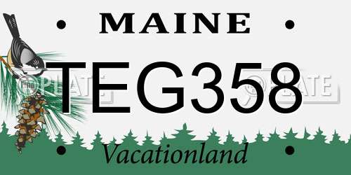 TEG358 Maine License Plate