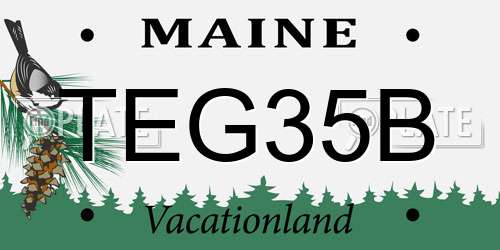 TEG35B Maine License Plate