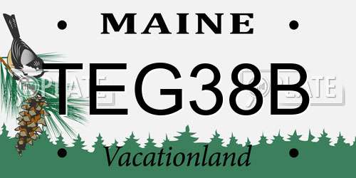 TEG38B Maine License Plate